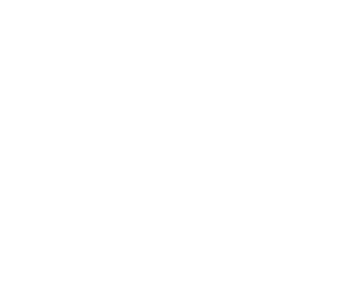 Charity Navigator Rating